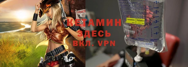 прущие грибы Инта