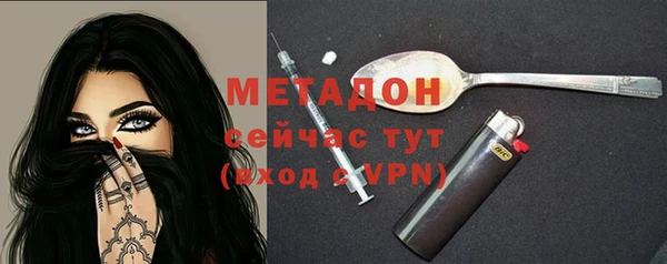 амф Гусев
