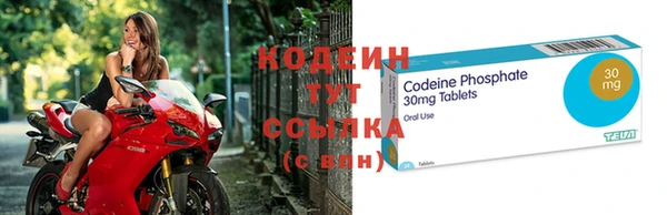 прущий лед Ельня