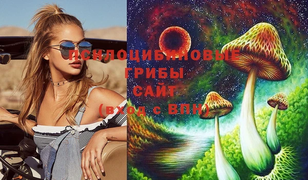 метамфетамин Дмитриев