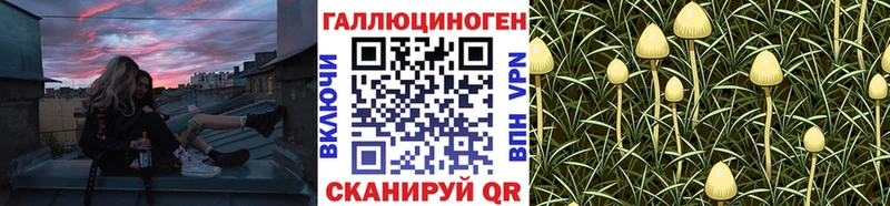 Галлюциногенные грибы Psilocybine cubensis  Городец 